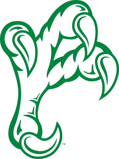 North Texas Mean Green 2005-Pres Alternate Logo iron on transfers for fabric